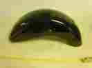 00000000 Harley Davidson Dyna Rear Fender