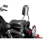 290-49 M-c Enterprises Sissy Bar