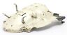 80100-mg9-950zb Honda Aspencade Rear Upper Inside Fender Off Running Goldwing Sei