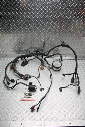 Harley-davidson 2207354 2005 Harley-davidson Sportster 883 Xl883 Main Engine Wiringharness/gauge