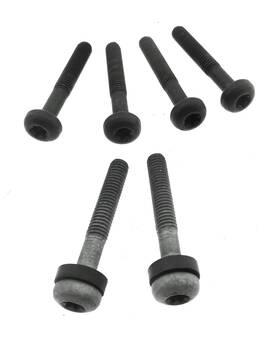 T3331299 Triumph 2002 Sprint Oem Front Fender Bolts