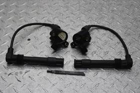 7811366 Victory 2001 V92c Visteon Coil Set