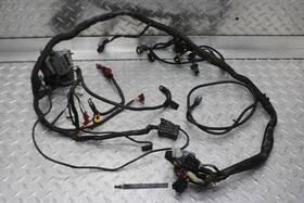 7811383 Victory 2001 V92c Main Engine Wiring Harness