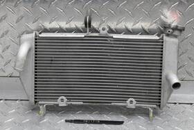 7811718 Yamaha 2016 Yzf R3 Front Radiator Cooling Cooler
