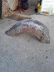 Got Used Rear Fender For 2005 Yamaha 650 Vstar Classic 100$. Fixed Price $100.00.