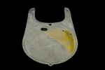 75-81 Suzuki RM125 RM250 RM400 Front Number Plate 94911-41300. Fixed Price $29.99.
