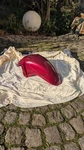 Honda Cbr 1100XX SC35 Fender Fairing. Fixed Price $170.91.