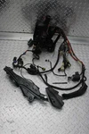 2012 Harley-davidson Sportster XL883 Custom Main Wiring Harness W/ignition 1-KEY. Fixed Price $299.99.