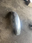 1979 Yamaha XS1100S Front Fender Used Oem. Fixed Price $20.00.