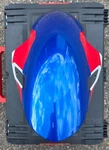 Bmw S1000RR Sport 19-22 Front Fender 46618569801. Fixed Price $150.00.