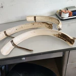 1985 Yamaha Yamahopper Rear Fender Guard Support Oem (lot). Fixed Price $60.00.
