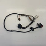 2003 Yamaha TTR125L Oem Main Engine Wiring Harness Motor Wire Loom. Fixed Price $29.95.