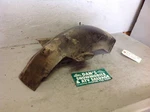 Fender Rear # 63112-43500 Suzuki Gs 550 L. Fixed Price $20.69.