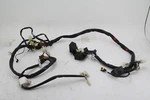 2002 Aprilia ETV1000 Caponord Main Wiring Wire Harness Complete. Fixed Price $149.99.