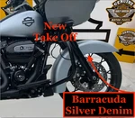 2020 Oem Harley 14-25 Touring Road Glide Front Fender Barracuda Silver Denim. Fixed Price $449.95.