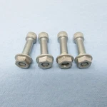 2015 Harley-davidson Sportster XL1200C Front Fender Bolts Lot Of 4. Fixed Price $7.49.