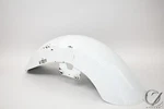 16 Kawasaki VN1700 Vaquero Front Fender Tin. Fixed Price $149.85.