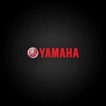 2016 Yamaha Front Fender Grey 1WD-XF151-00-P6. Fixed Price $24.99.
