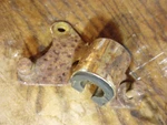1972 1973 Honda Rear Fender Bracket Setting Stay. Fixed Price $19.94.