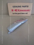 Kawasaki Vulcan 1700 Voyager 2009-2021 Cover Strut Lh 14091-0957 Saddlebags Diy. Fixed Price $77.54.