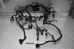 2022 Kawasaki Ninja EX650N Engine Wiriing (parts Harness). Fixed Price $69.99.