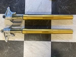 Ohlins Front Fork Suspension Triumph 675R 765 Daytona MOTO2. Fixed Price $1625.00.