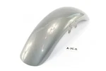 Triumph Thunderbird 900 T309RT Bj 1995 - Front Fender A75B. Fixed Price $329.41.