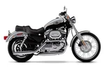 Rear Fender Stripe Replcs 2003 Xl Sportster Harley Davidson Anniv PIN36. Fixed Price $43.99.