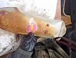 1972 Honda Fender/front Mudguard. Fixed Price $44.99.