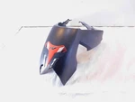 2022-2024 Can-am Ryker 600 900 Std Ace Rally Fuel Petrol Gas Tank Fairing Cover. Fixed Price $64.95.