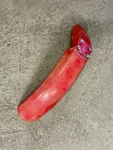 1981 Kawasaki Ke 175 Front Fender Oem W/hardware. Fixed Price $84.99.
