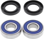 Balls Front Wheel Bearing Kit For Honda Shadow Phantom 750 07-24. Fixed Price $28.10.