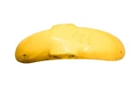 02 Buell Blast 500 Front Fender. Fixed Price $79.99.