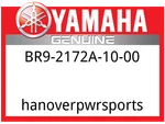Yamaha Oem Part BR9-2172A-10-00 Panel. Fixed Price $25.99.
