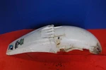 1996 Yamaha YZ125 Rear Back Fender Cowl Fairing 5BE-21611-00-00. Fixed Price $29.99.