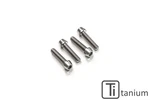 Front Fender Screws M6X16 Titanium Cnc Racing Mv Agusta Turismo Veloce 800 Rosso. Fixed Price $44.90.