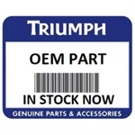 2006-2012 Triumph Daytona 675 Street Triple Rear Mudguard Moulding T2300640. Fixed Price $24.99.