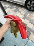 Oem Honda Front Fender Red. Fixed Price $24.99.